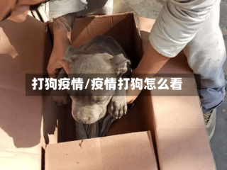 打狗疫情/疫情打狗怎么看