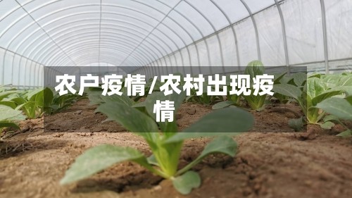 农户疫情/农村出现疫情