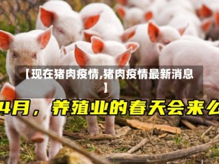 【现在猪肉疫情,猪肉疫情最新消息】