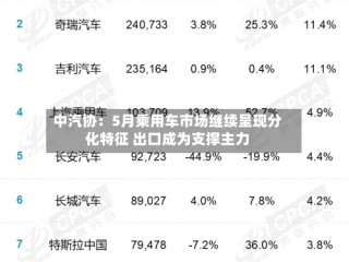 中汽协：5月乘用车市场继续呈现分化特征 出口成为支撑主力