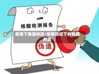 疫情下我国财政/疫情防控下的我国财政