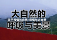 关于疫情与自然/疫情与大自然