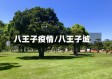 八王子疫情/八王子城