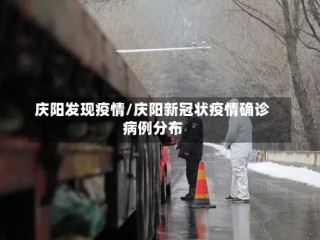 庆阳发现疫情/庆阳新冠状疫情确诊病例分布