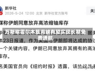 万斯称霍尔木兹海峡有望实现长期免费通航