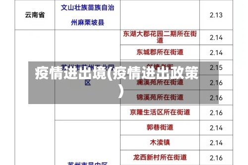 疫情进出境(疫情进出政策)