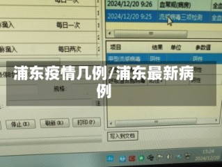 浦东疫情几例/浦东最新病例