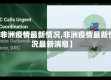【非洲疫情最新情况,非洲疫情最新情况最新消息】