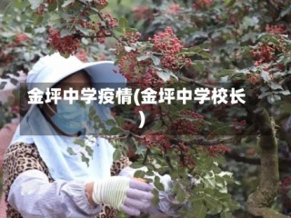 金坪中学疫情(金坪中学校长)