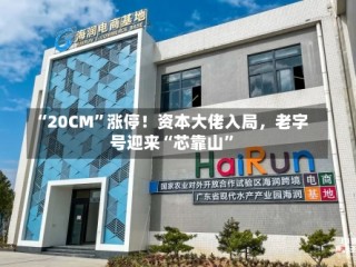 “20CM”涨停！资本大佬入局，老字号迎来“芯靠山”