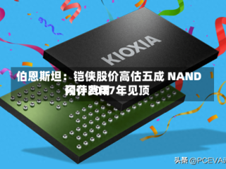 伯恩斯坦：铠侠股价高估五成 NAND闪存费用预计2027年见顶