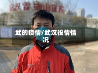武的疫情/武汉役情情况