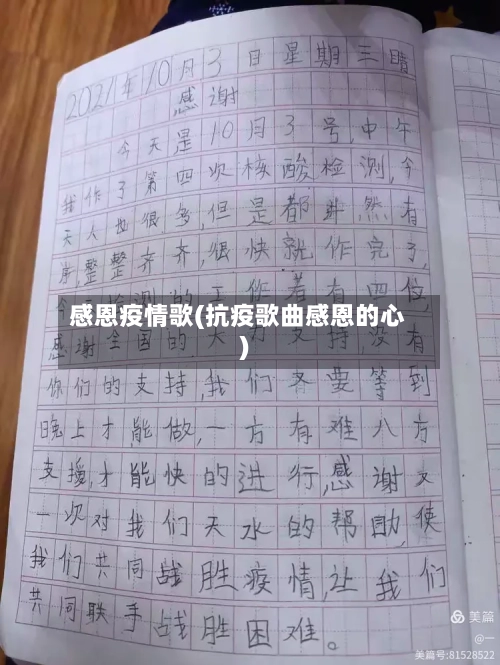 感恩疫情歌(抗疫歌曲感恩的心)-第2张图片
