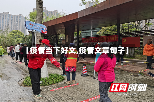 【疫情当下好文,疫情文章句子】-第1张图片