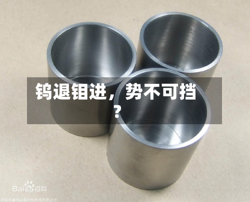 钨退钼进，势不可挡？-第2张图片