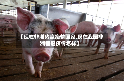 【现在非洲猪瘟疫情国家,现在我国非洲猪瘟疫情怎样】-第2张图片