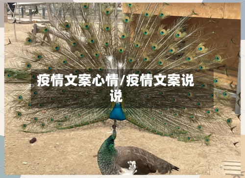 疫情文案心情/疫情文案说说-第2张图片
