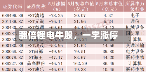 翻倍锂电牛股，一字涨停-第2张图片
