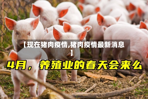 【现在猪肉疫情,猪肉疫情最新消息】-第1张图片
