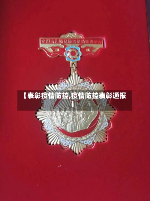 【表彰疫情防控,疫情防控表彰通报】-第1张图片