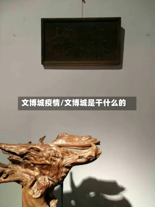 文博城疫情/文博城是干什么的-第1张图片