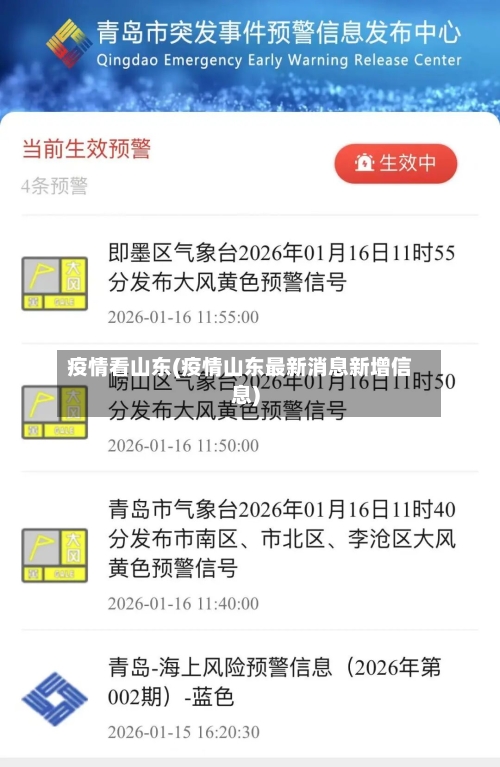 疫情看山东(疫情山东最新消息新增信息)-第2张图片