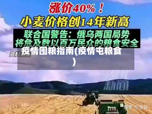 疫情囤粮指南(疫情屯粮食)-第1张图片