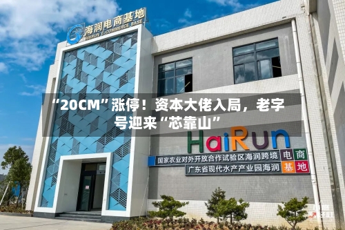 “20CM	”涨停！资本大佬入局，老字号迎来“芯靠山”-第1张图片