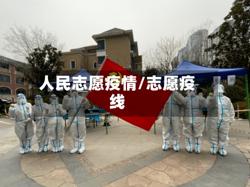 人民志愿疫情/志愿疫线-第3张图片