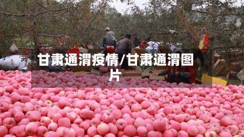 甘肃通渭疫情/甘肃通渭图片-第3张图片
