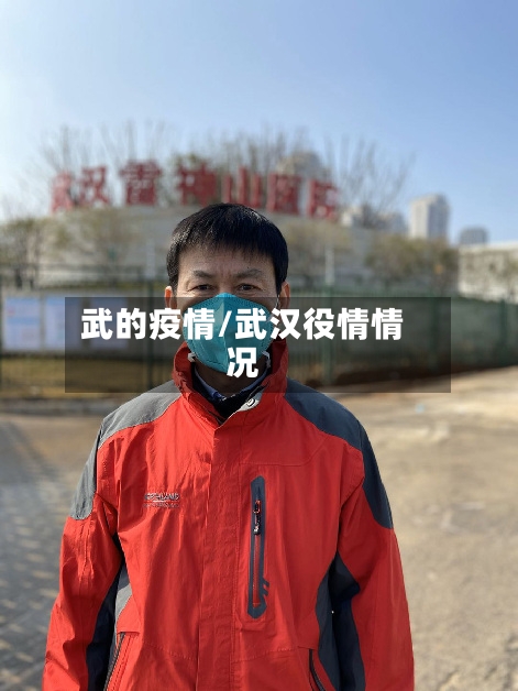 武的疫情/武汉役情情况-第1张图片