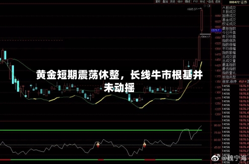 黄金短期震荡休整，长线牛市根基并未动摇-第3张图片